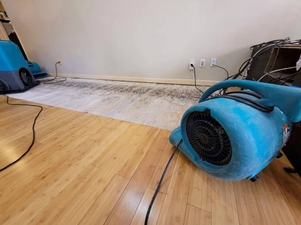 Professional Water Damage Repair technician working in Pismo Beach, CA